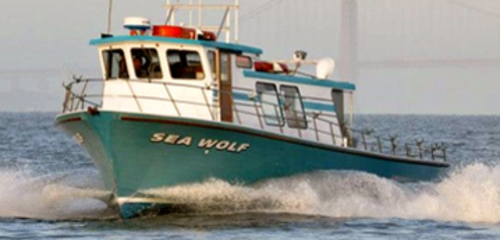 Sea Wolf