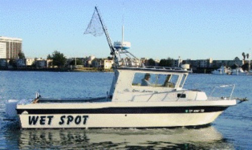 Wet Spot
